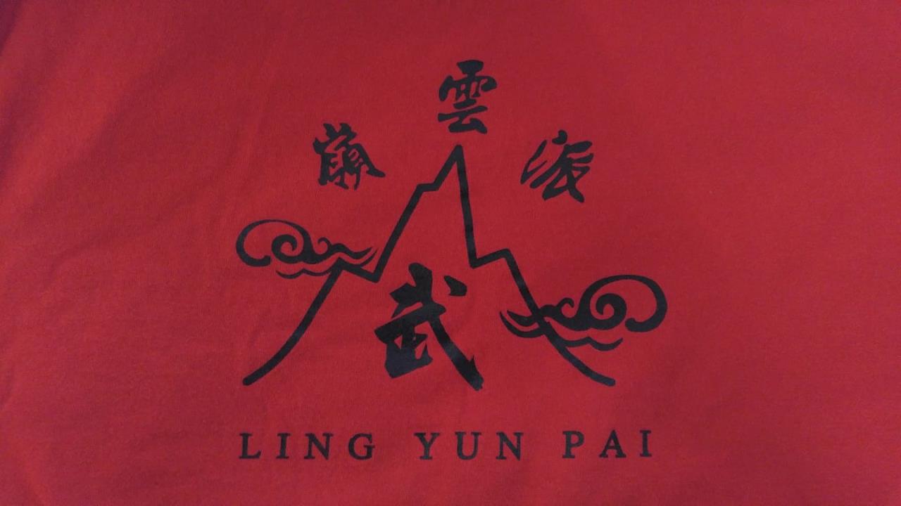 Kung fu Tai chi image